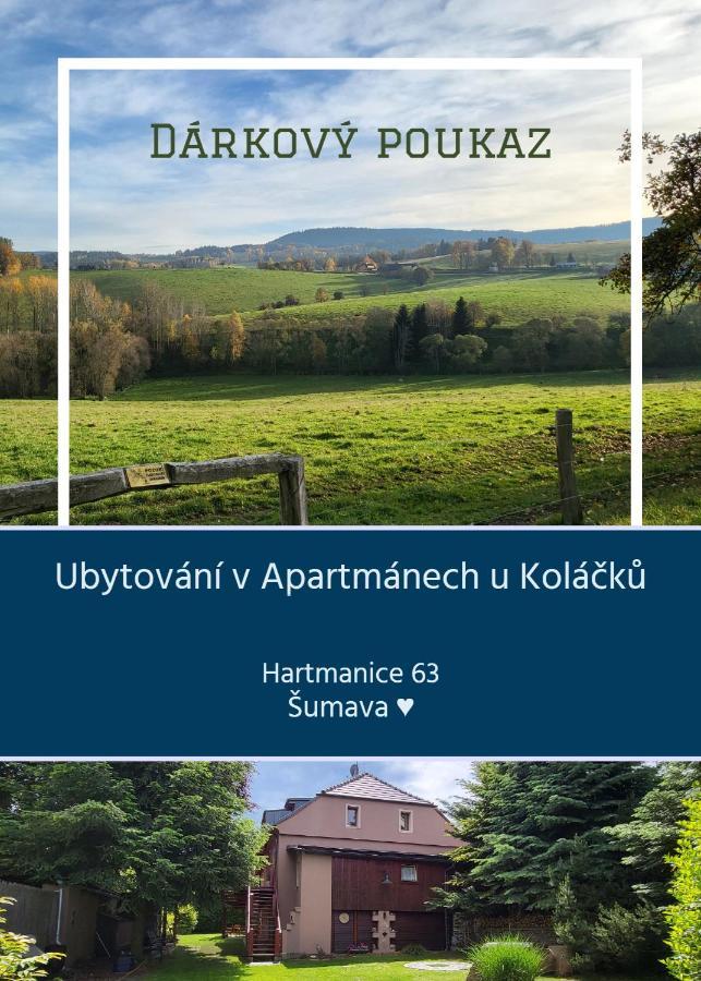 Apartmany U Kolacku Hartmanice  Kültér fotó